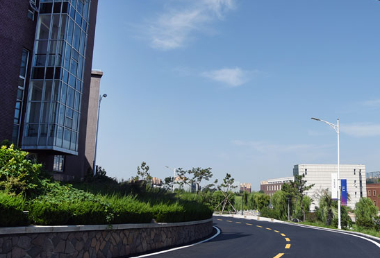 青島城市學(xué)院招生章程2023年