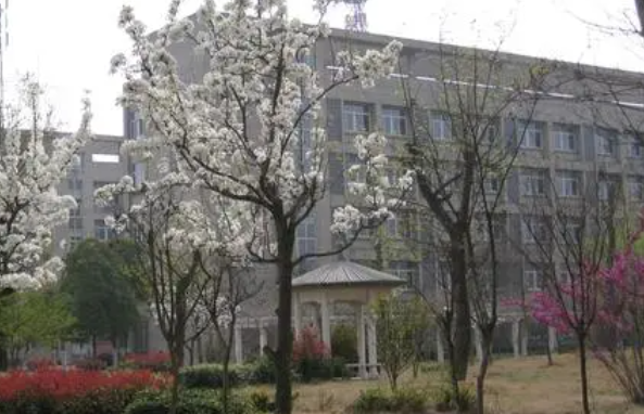 2024宿遷排名前五的電子商務(wù)學(xué)校名單