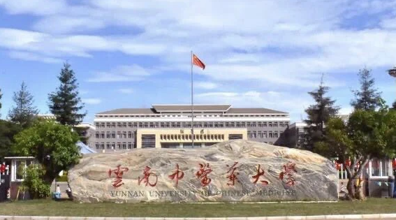 中國大學傣醫(yī)學專業(yè)排名（研究型）-校友會2023最新排名