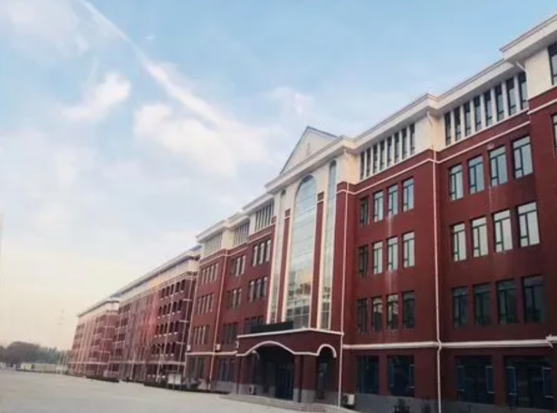 2023年濰坊高新國際學校小學部課程體系