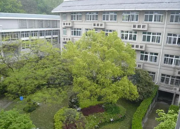 浙江師范大學附屬中學怎么樣、好不好