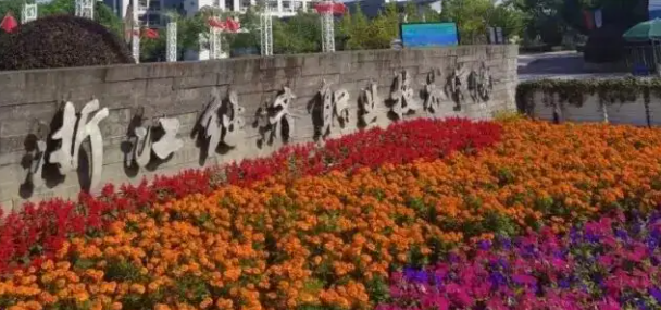 新疆大數(shù)據(jù)與財(cái)務(wù)管理專業(yè)大學(xué)排名及分?jǐn)?shù)線一覽表