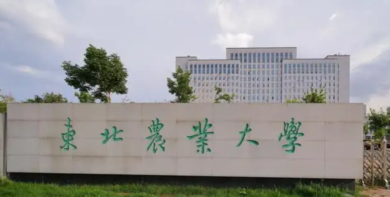 哈爾濱農(nóng)林類大學有哪些 哈爾濱農(nóng)林類大學名單一覽表