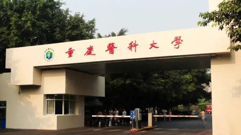 天津康復治療學專業(yè)大學排名及分數(shù)線一覽表