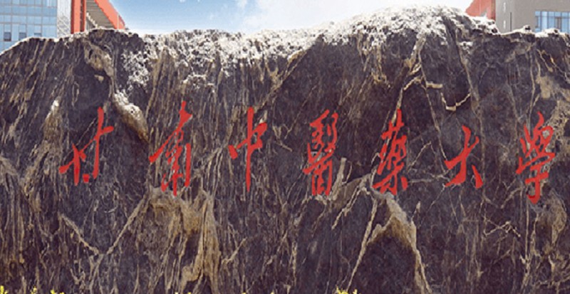 2023甘肅中醫(yī)藥大學(xué)排名全國第幾名（2024年參考）