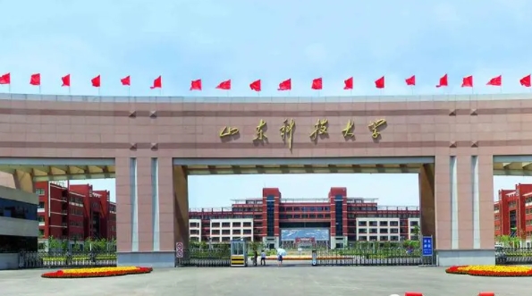 山東科技大學全國第幾名（2024年參考）