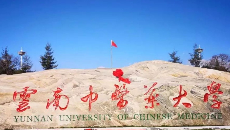 云南中醫(yī)藥大學(xué)全國(guó)第幾名（2024年參考）