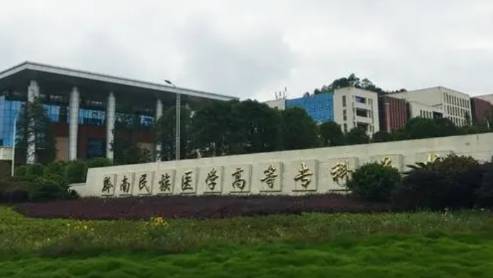 2024黔南民族醫(yī)學(xué)高等專科學(xué)校重點(diǎn)特色專業(yè)匯總表
