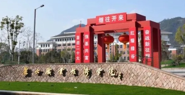 2024麗水職業(yè)技術學院重點特色專業(yè)匯總表