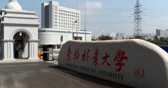 在黑龍江高考480分算什么水平（近三年）黑龍江高考480分能上的大學 
