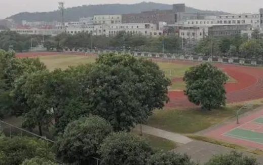 湛江市工商職業(yè)技術學校2023年招生錄取分數(shù)線（2024年參考）