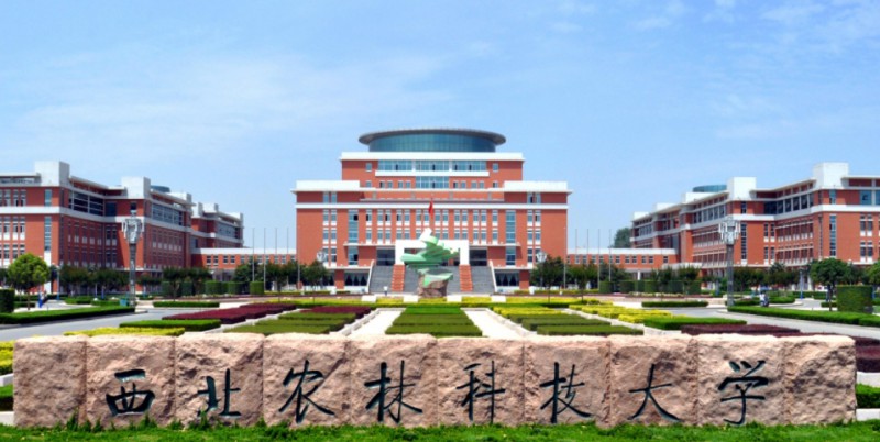 2023西北農(nóng)林科技大學(xué)高考錄取分數(shù)線是多少（2024參考）