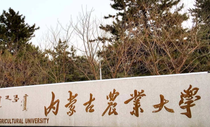 在內(nèi)蒙古高考370分算什么水平（近三年）內(nèi)蒙古高考370分能上的大學(xué)