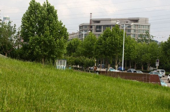 2024年江西高考征集志愿怎么填報(bào)？征集志愿填報(bào)時(shí)間是多久？