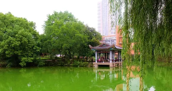 為什么不建議報核工程是冷門專業(yè)嗎？對身體有危害嗎？