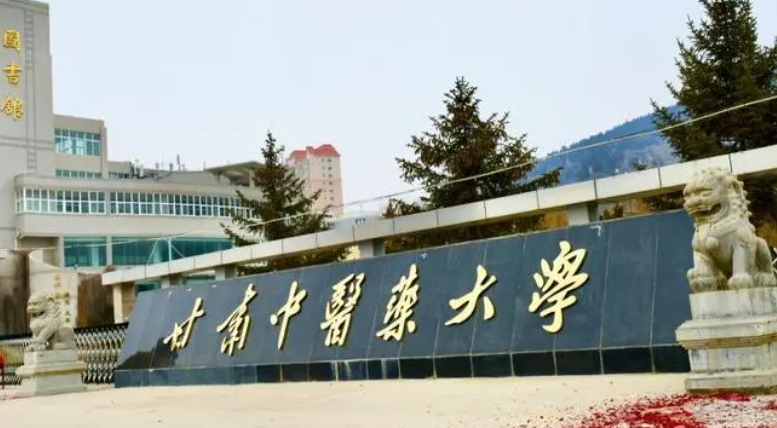寧夏高考435分能上什么大學（2024年參考）