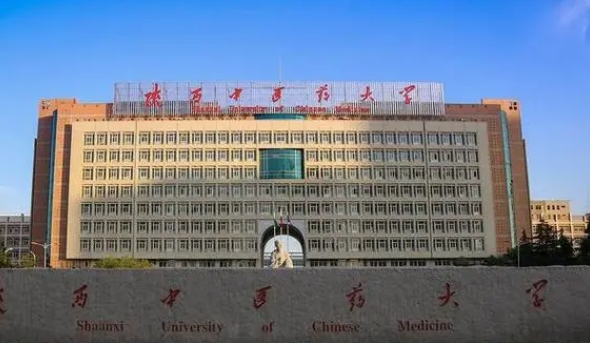寧夏高考493分能上什么大學(xué)（2024年參考）