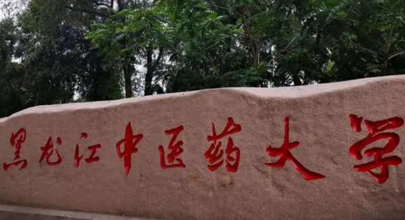 寧夏高考430分能上什么大學（2024年參考）