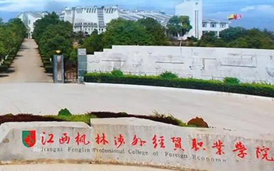 江西楓林涉外經(jīng)貿(mào)職業(yè)學院中外合作辦學學費（2024）