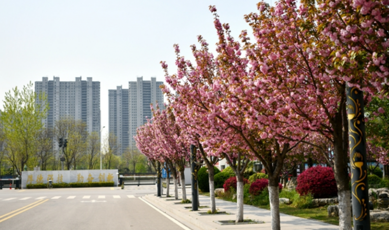 江蘇2025年鐵路學校讀什么專業(yè)好