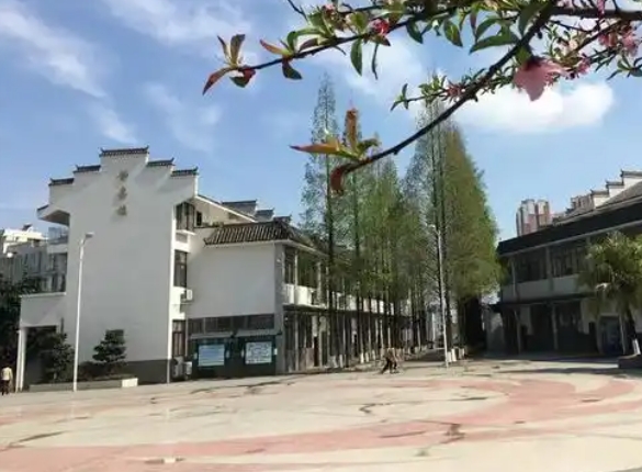 龍泉師一怎么樣、好不好