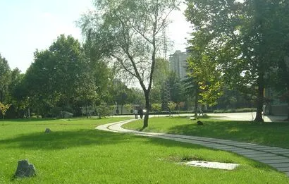 醫(yī)校聯(lián)動共筑校園健康 鄭州市信息技術(shù)學(xué)校聯(lián)合社區(qū)衛(wèi)生服務(wù)中心開展義診活動