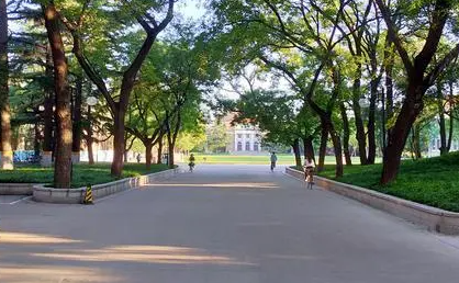 青春力量推動(dòng)文化傳承——鄭信學(xué)子從“李子柒回歸”事件熱議中國(guó)傳統(tǒng)文化