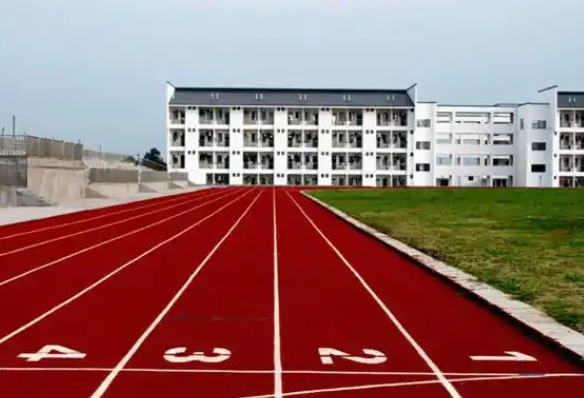 石室白馬中學(xué)招生簡(jiǎn)章2025年