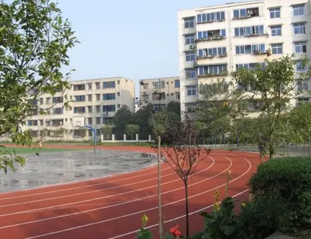 2025四川成都市第二十四中學(xué)招生計(jì)劃 招生人數(shù)是多少(附要求、條件、對(duì)象)