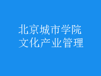 文化產(chǎn)業(yè)管理