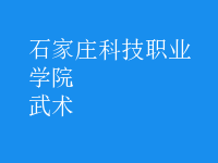 武術