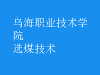 選煤技術(shù)