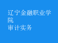 審計(jì)實(shí)務(wù)