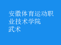 武術