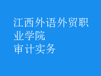 審計(jì)實(shí)務(wù)