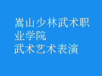 武術藝術表演