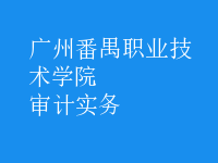 審計(jì)實(shí)務(wù)