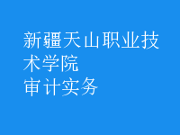 審計(jì)實(shí)務(wù)