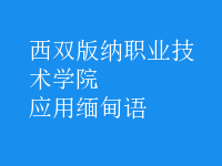 應(yīng)用緬甸語(yǔ)