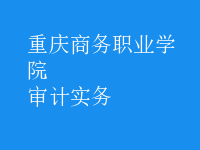 審計(jì)實(shí)務(wù)
