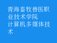 計算機多媒體技術