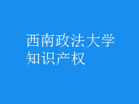 知識產(chǎn)權(quán)